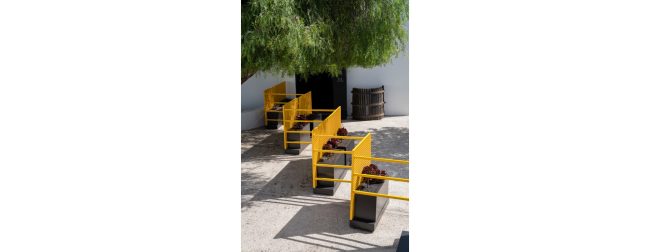 Materiales locales en el diseño interior de Lanzarote