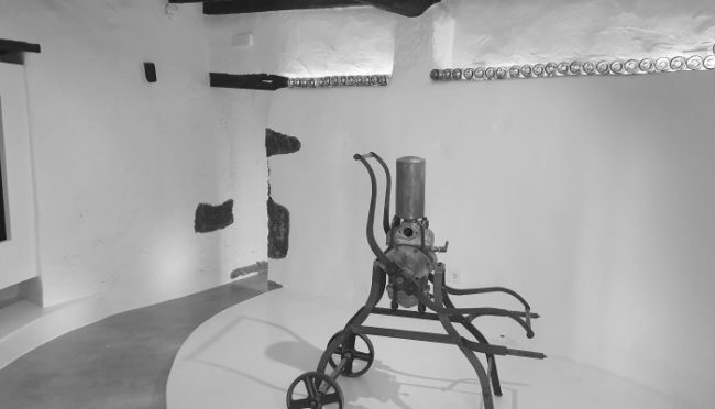 SALA DE CATAS BODEGAS EL GRIFO 2022